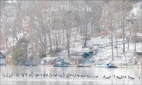  ?? Keith Bryant/The Weekly Vista ?? Several Canada Geese sit on top of the frozen Lake Windsor on a cold Wednesday morning. The previous night, temperatur­es were recorded as low as 2 below zero, and earlier that morning some of the geese appeared to be frozen to the lake’s surface.