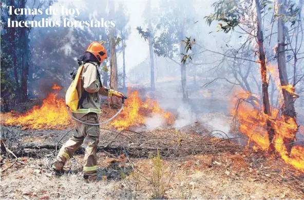  ?? FOTO: ATON ?? Bomberos realizando las labores de control del fuego en Pumanque.