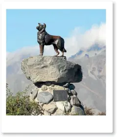  ?? SUPPLIED ?? Tekapo’s famous bronze collie statue.