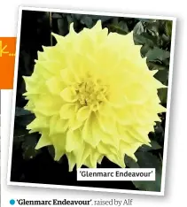  ??  ?? ‘Glenmarc Endeavour’