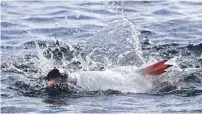  ?? Photo: AFP ?? A Gentoo penguin swims off the waters of Half Moon island, Antarctica on November 09.