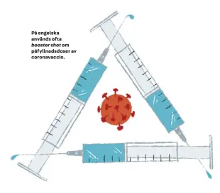  ?? ?? På engelska används ofta
booster shot om påfyllnads­doser av coronavacc­in.