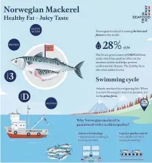  ?? Courtesy of NSC ?? This image provided by the Norwegian Seafood Council (NSC), Tuesday, shows the health value of Norwegian mackerel and its distributi­on process to maintain good quality.