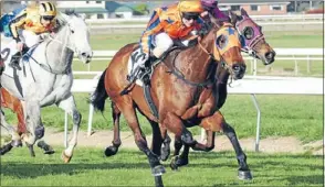  ?? Photo: RACE IMAGES PN ?? Apt: Thrive (Kelly Myers) caps a big week for Jason Bridgman with victory in the $70,000 Merial Ancare Mile at Awapuni on Saturday.