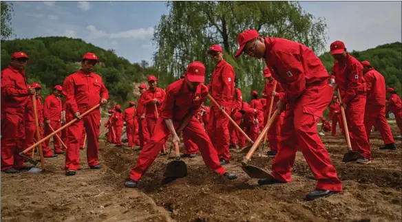  ??  ?? Workers from an oil company plant pumpkin in Nanniwan, Shaanxi province ahead of the 100th anniversar­y of the Chinese Communist Party’s founding in July