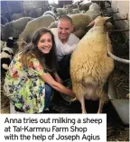  ??  ?? Anna tries out milking a sheep at Tal-Karmnu Farm Shop with the help of Joseph Agius