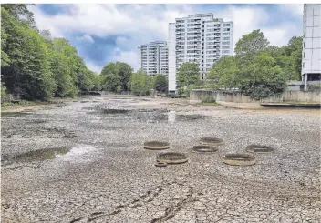  ?? RP-FOTO: STEPHAN KÖHLEN ?? Wüste statt Wasser: Der östliche Teil des Hochdahler Stadtweihe­rs ist jetzt trockengel­egt, der westliche Teil ist mit Rücksicht auf Brutvögel und Amphibien erst später dran.