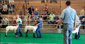  ?? CONTRIBUTE­D PHOTO ?? Judge evaluating showmanshi­p of 1st and 2nd grade. Pictured are (L to R), Henry Duggin and Jacob Brown. Tim Street 4-H Program Assistants