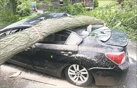  ?? Cassandra Day / Hearst Connecticu­t Media ?? A giant maple toppled Tuesday evening, crushing the Willets family car, after a powerful thundersto­rm ripped through Durham.