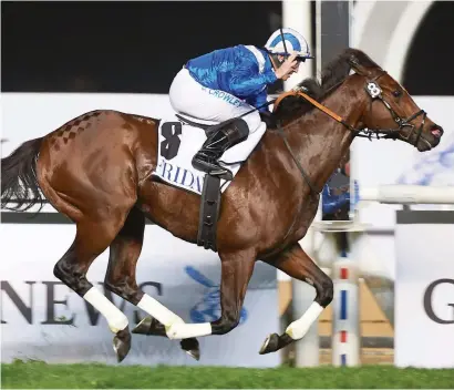  ?? Picture: Andrew Watkins. ?? BANKER. Ertijaal, who runs in the Grade 1 Al Quoz Sprint on Dubai World Cup Night, looks the best bet on the card.