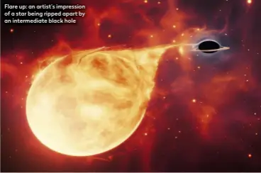  ??  ?? Flare up: an artist’s impression of a star being ripped apart by an intermedia­te black hole