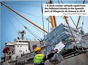  ?? Miguel Riopa/AFP/Getty Images ?? A dock worker unloads squid from the Falkland Islands in the Spanish port of Vilagarcia de Arousa in 2019