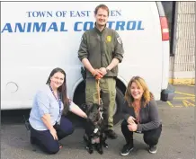  ?? Ocean State Job Lot / Contribute­d photo ?? The East Haven Animal Shelter is $1,515 richer as a result of a recent donation from Ocean State Job Lot through the retailer’s “To the Rescue” charitable program. Pictured, from left, are Kylie Murray of the East Haven Ocean State Job Lot store, East Haven Assistant Animal Control Officer Sean Gidejohn and Luanna Onofrio of the East Haven Ocean State Job Lot store.