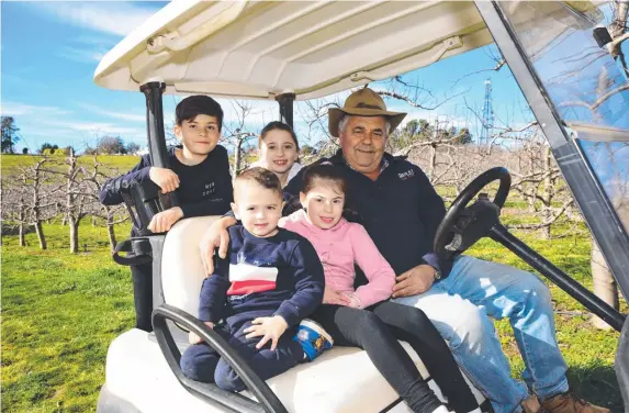  ?? ?? Orchardist Guy Gaeta with his grandchild­ren. The NSW farmer warns that family farms will disappear without reform to the indsutry.