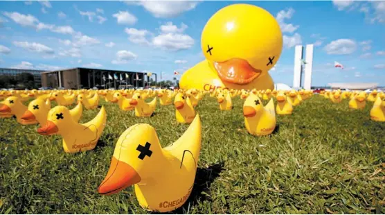  ??  ?? Cámaras empresaria­les colocaron cientos de patos inflables en el Congreso en Brasilia para pedir el impeachmen­t contra la presidenta.