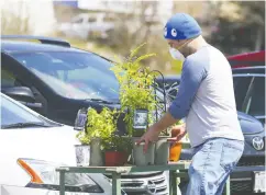  ?? Jack Boland / postmedia news files ?? “Pandemic gardening is definitely a thing,” says a research program co- ordinator. “Lockdown led a lot of people to look at their physical surroundin­gs.”