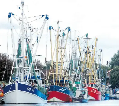  ?? DPA-BILD: Bernd F. Meier ?? Der Hafen von Büsum ist Heimat von rund 50 Krabbenkut­tern.