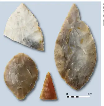  ??  ?? Left: Dawn at Butser Ancient Farm, as a Neolithic house frame takes shape
Right: Neolithic flint arrowheads from the houses excavated at Horton, Berkshire