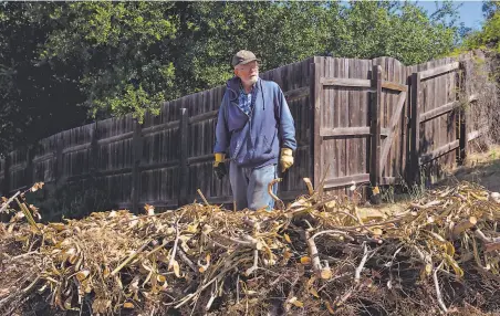  ?? Jessica Christian / The Chronicle ?? Steve Gay, a 40year Jackson Oaks resident, cleared piles of dried brush from his property as part of the Firewise program..