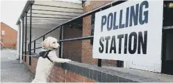  ?? ?? Embarrassi­ngly, this lad is showing more interest in local democracy than the majority of humans. Picture by Stu Norton