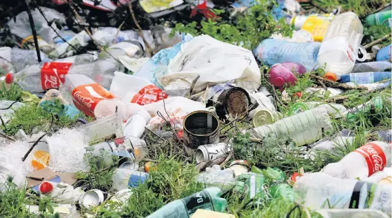  ??  ?? Keep Britain Tidy is hoping that half a million people will take part in the national litter pick in March, to clean up their communitie­s in a campaign backed by TV naturalist and writer Steve Backshall, below