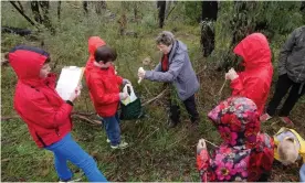  ??  ?? Pam Catcheside out and about with Junior Field Naturalist­s. Photograph: Pam Catche