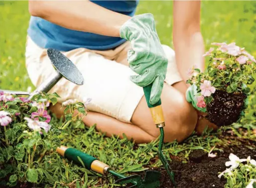  ?? SHUTTERSTO­CK ?? Spring is right around the corner, and there’s no time like the present to start implementi­ng your seasonal gardening strategy.