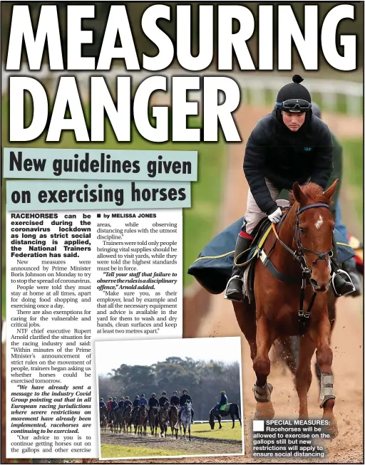  ??  ?? ■ SPECIAL MEASURES: Racehorses will be allowed to exercise on the gallops still but new restrictio­ns will apply to ensure social distancing