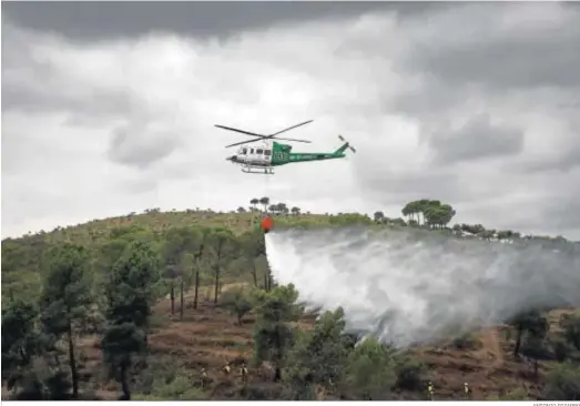  ?? ANTONIO PIZARRO ?? Una intervenci­ón de entrenamie­nto del Brica (Brigadas de Refuerzo en incendios Forestales) con sede en Aznalcólla­r.