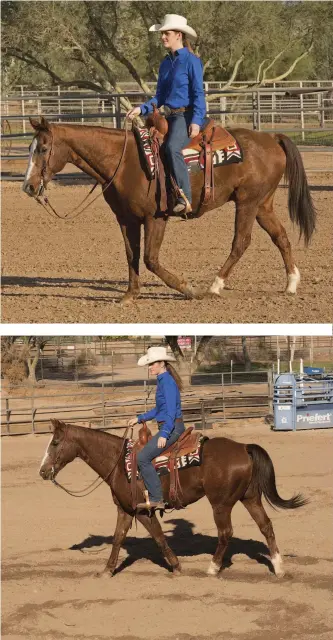  ??  ?? TOP: A relaxing walk on a draped rein is ideal for warming up and as the foundation­al “long, slow distance work” of your senior horse’s exercise program. BOTTOM: Figures such as the small circles shown here— or serpentine­s, turns, and the like— provide...