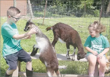  ?? LYNN KUTTER ENTERPRISE-LEADER ?? Collin Stone, 8, and his sister, Scarlett Stone, 3, play with their goats, Goofy and Millie, named for characters from the Mickey Mouse Club.