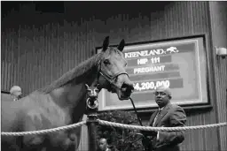  ?? KEENELAND PHOTO ?? Lady Eli sold for $4.2 million to top Monday’s Book 1 session of the Keeneland November breeding stock sale.