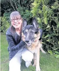  ??  ?? Alsatian Sultan has been reunited with his owner Patricia Savoini after six years apart