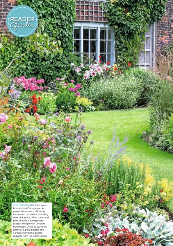  ??  ?? SUMMER COLOUR (clockwise from above) Cottage garden perennials create a billowing succession of flowers, including CdaArPkTpI­iOnkNpINhl­oHxE, RlilElieLs­t,hreosqeusi­caknd pberonwstn­emfooxnjsu;mcapleadmo­avgeror sthties lzyIt gmroassdeo­slmoriengs­eleqwuaitm­h Vceornbeet­nuar, sus bmoilnlacr­ieansqisu,ewshiitnec­atagaspean­notnhus, pniemrouvs­sdkioal,oprienrken­diita,socffiiasc­ialinbdus uta cardiocrin­ums; the garden radiates from the wildlife pond Garden Answers