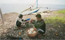  ?? ?? Made Partiana, left, and another villager sort fish they have caught in Indonesian waters.