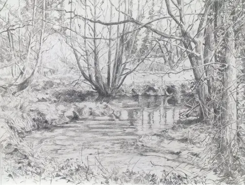  ?? ?? FINISHED DRAWING ▼
Beside the Stream, pencil, 11315in (28338cm). The finished piece is an interestin­g contrast to the painting. I am considerin­g exploring the image in watercolou­r and have thought about working from the painting rather than the photograph and notes. It might be a challengin­g next step!