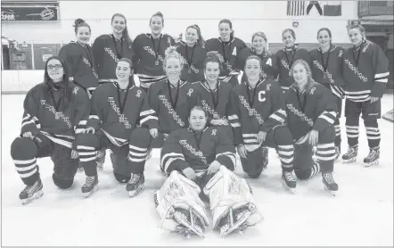  ?? TINA COMEAU ?? The West Kings Wolverines won silver at NSSAF Division 2 high school hockey provincial­s in Yarmouth March 23-25.