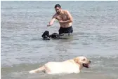  ??  ?? Raymond Melikian takes a dip in the lake Saturday amid the canines at Montrose Dog Beach.