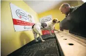  ??  ?? “It is a disgrace ... that this thing isn’t being grabbed onto like the invention of radar,” says Glenn Ferguson, whose dogs are trained to sniff for cancer.