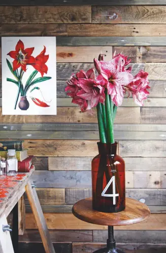  ??  ?? HIPPEASTRU­M
These glorious trumpet flowers, often called amaryllis, are usually forced – planted indoors in a pot in autumn for an exotic Christmas display. The sap and bulb are poisonous, and can cause mild stomach upset in humans; in dogs, they can...