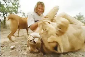  ??  ?? ‘Tarzan’: Schalk van der Merwe with lions on his sanctuary