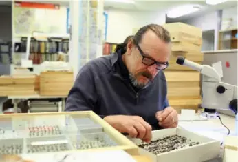  ?? COLE BURSTON/TORONTO STAR ?? Specimen collection remains a low-tech science: Laurence Packer uses nets and plastic party cups in his expedition­s.