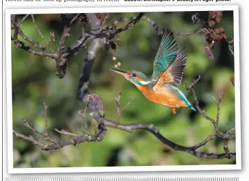  ??  ?? BELOW: Christophe­r’s ‘Beauty in Flight’ photo.