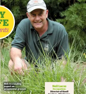  ??  ?? Neil is a leading expert on ornamental grasses