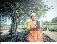  ??  ?? IT’S WIN WIN: Successful ‘treepreneu­r’, Thobile Nhlenyama from Kwajobe in KwaZulu-Natal, is part of the Trees for Life Project which aims to plant 100 000 trees for their Tree-A-Thon during Arbor Week.