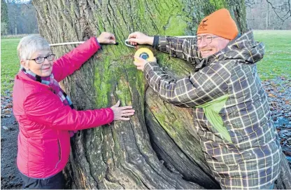  ?? Picture: George Anderson. ?? Joan Sneddon and Judy Dowling double check the measuremen­ts of the chestnut tree, which is the 15,000th to join the Ancient Tree Inventory.