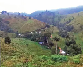  ?? FOTO CORTESÍA FISCALÍA ?? La finca ocupada (foto) estuvo en zona de incidencia del Bloque Oriental de las Farc en el Huila.