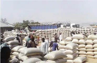  ??  ?? Bags of grains in Katsina market