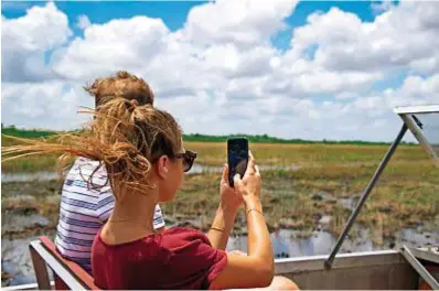  ??  ?? IL COCCODRILL­O DOVE STA? Le paludi del parco nazionale delle Everglades, Florida, tra le principali mete dei grandi viaggiator­i Usa. In basso a destra, targhe vintage