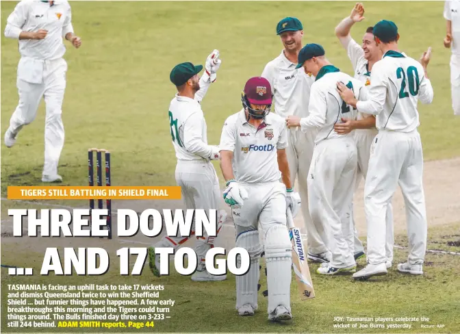  ?? Picture: AAP ?? JOY: Tasmanian players celebrate the wicket of Joe Burns yesterday.